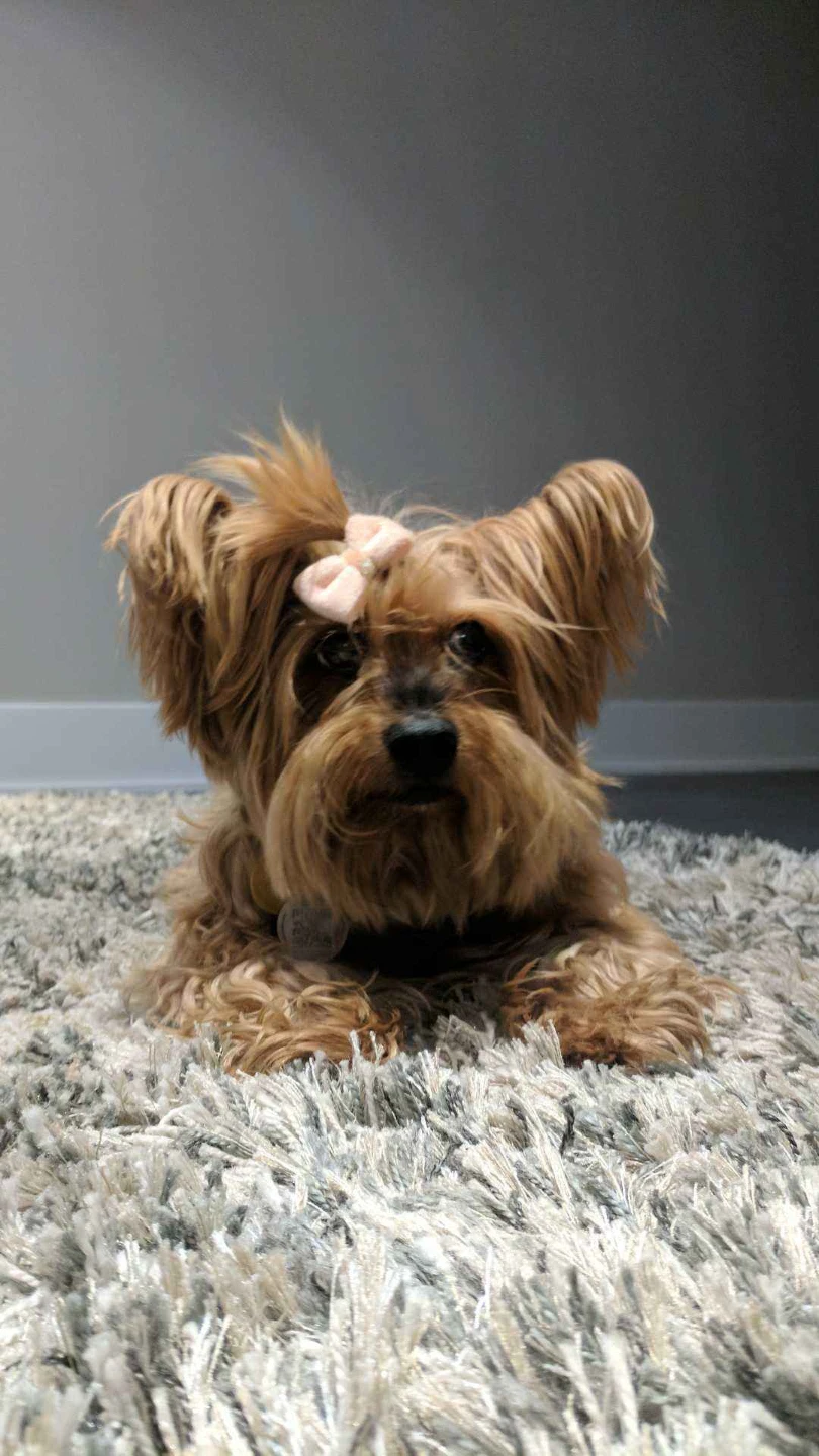 Penny profile
