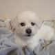 Ina profile