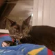 Andre profile