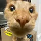 Jacob profile