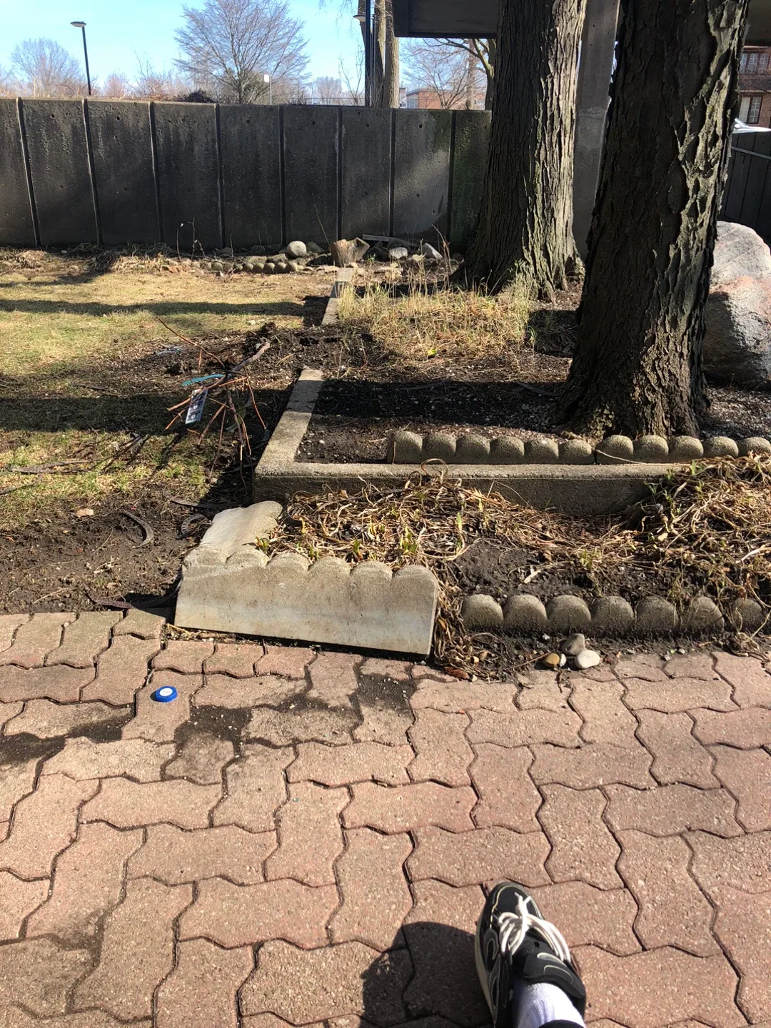 Johnathan andrews profile