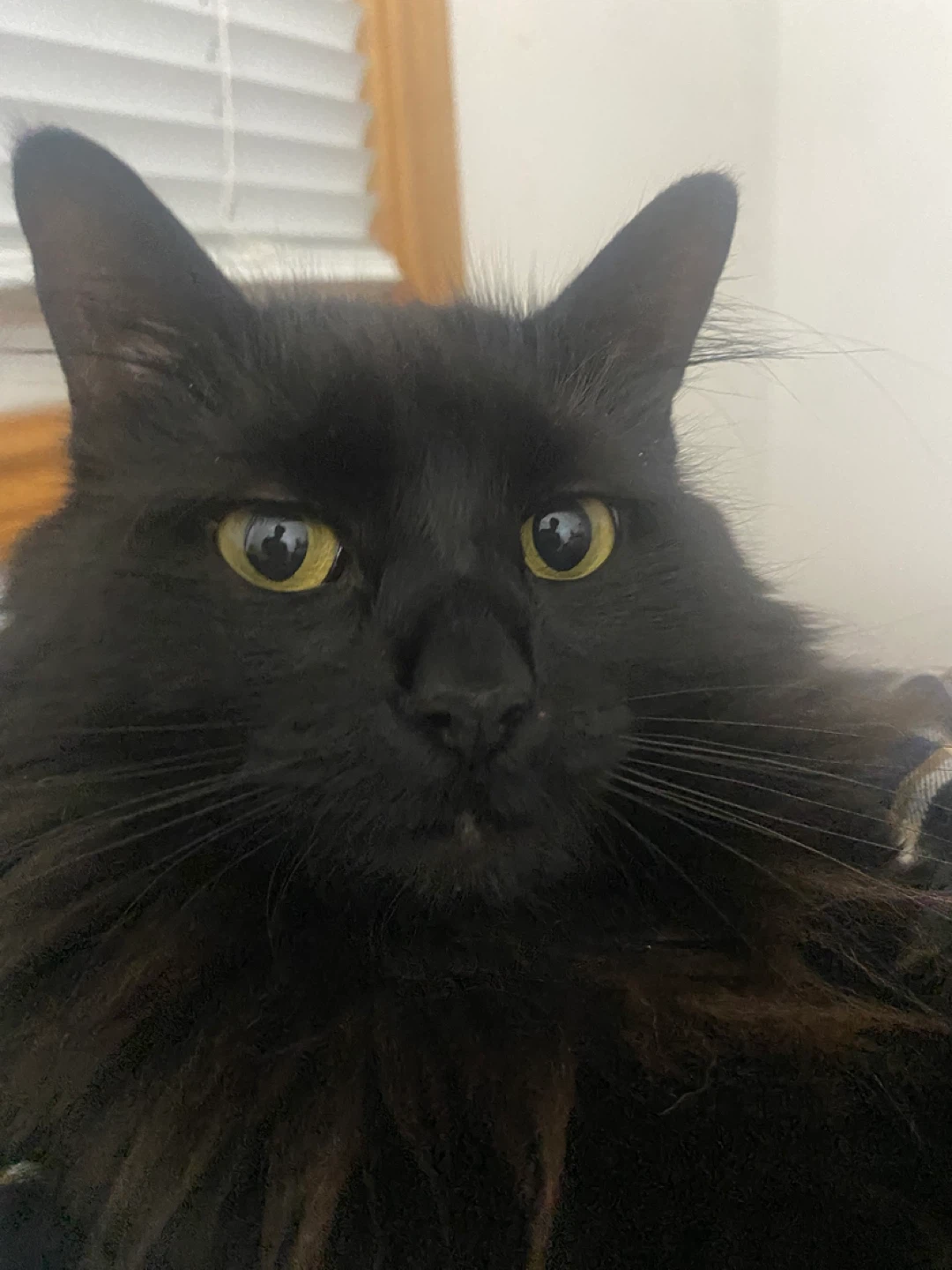 Duncan profile