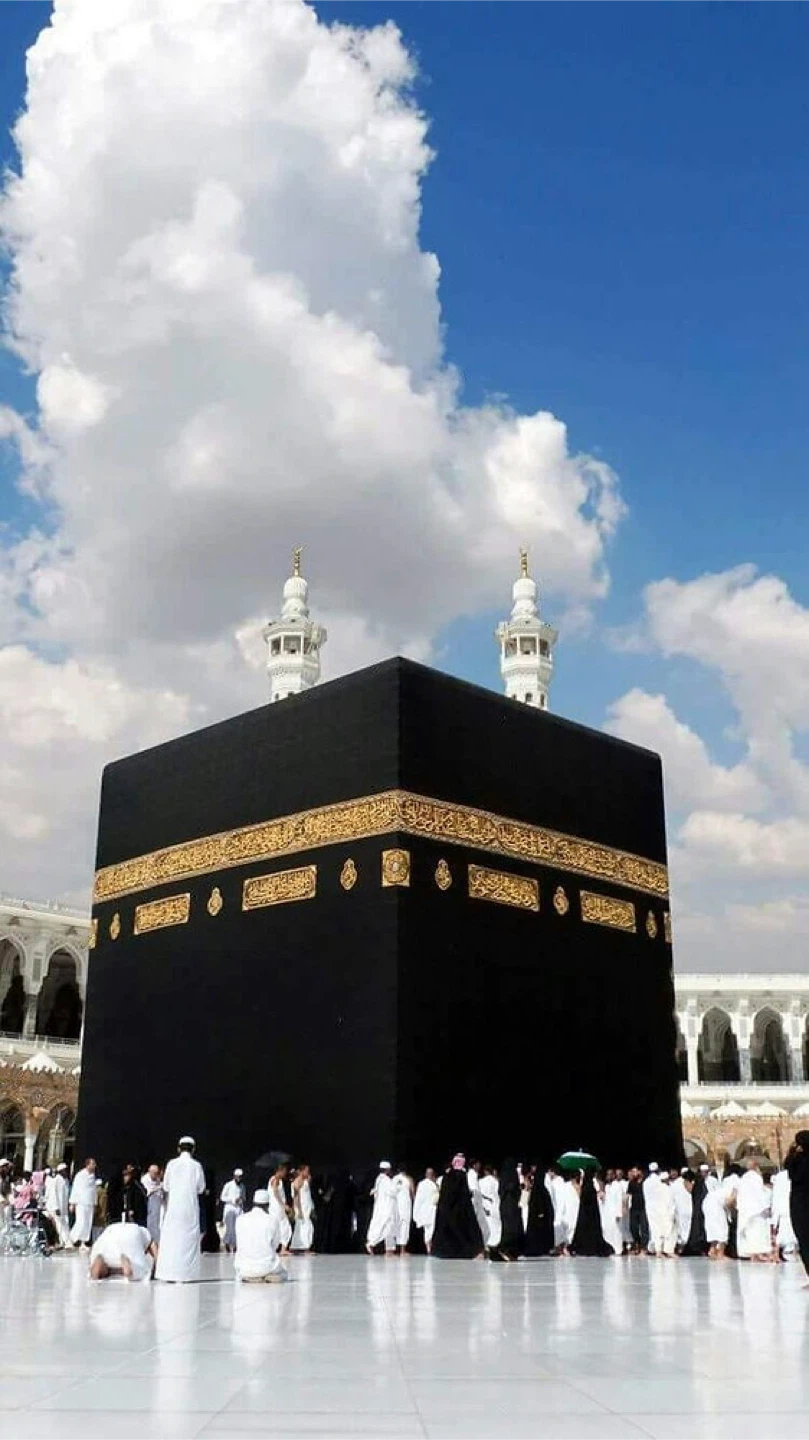 Islam Mohammad profile