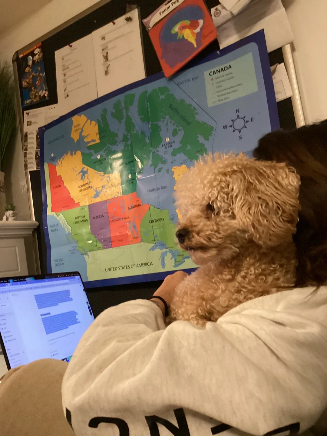 Lily abouali profile