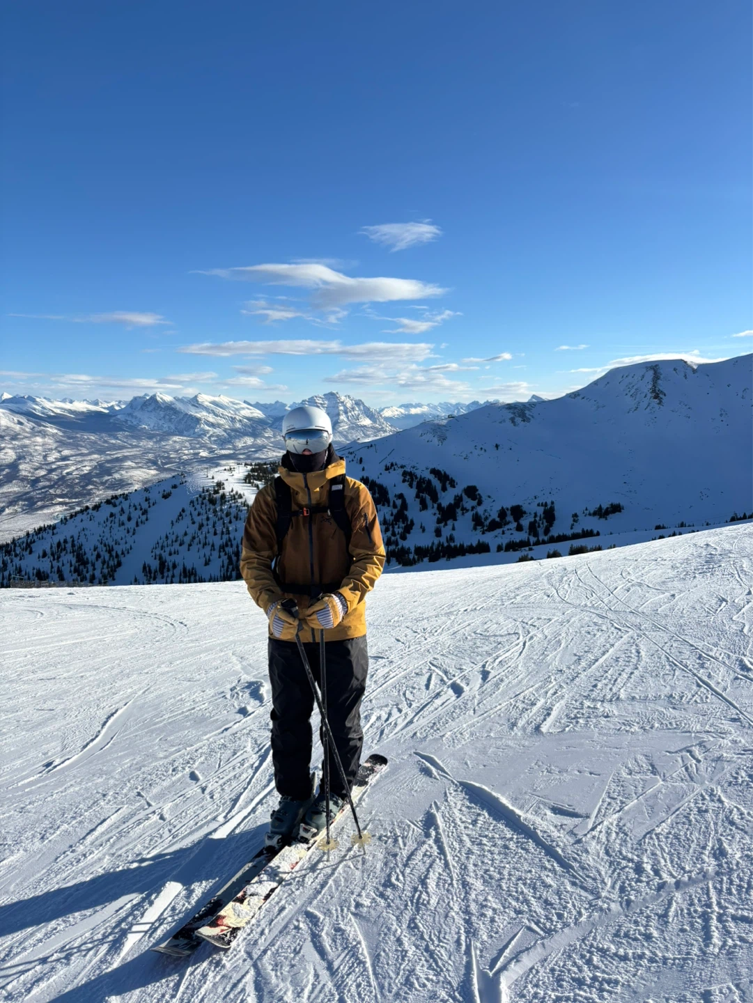 Landon Shipley profile