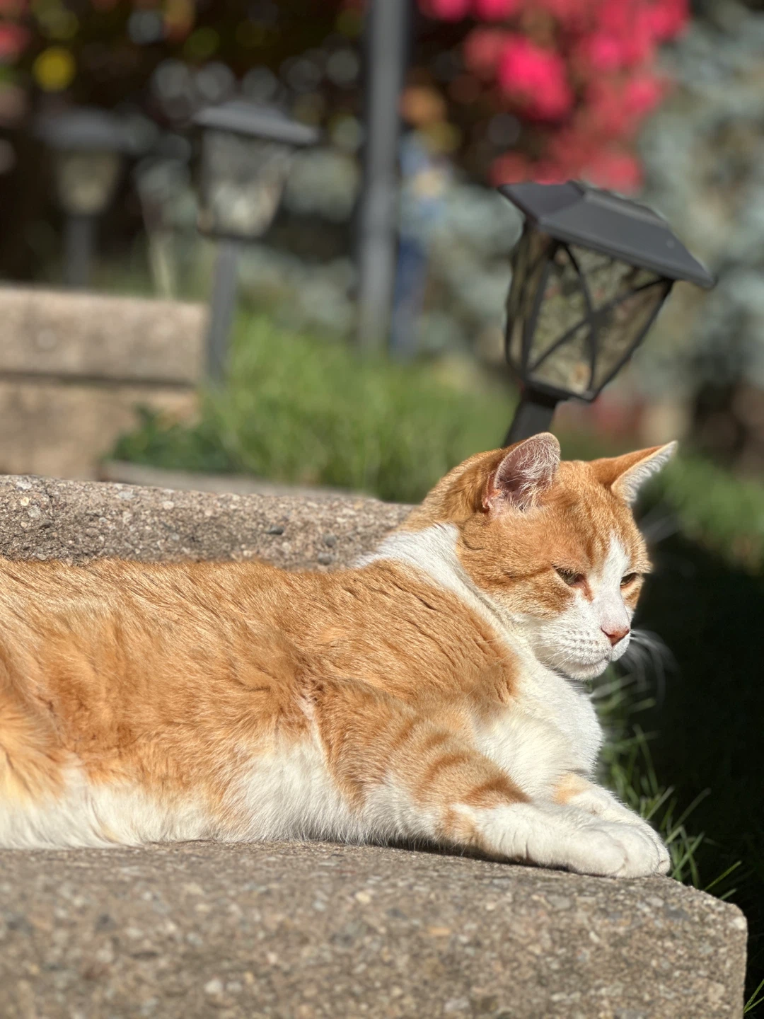 Nirmala profile