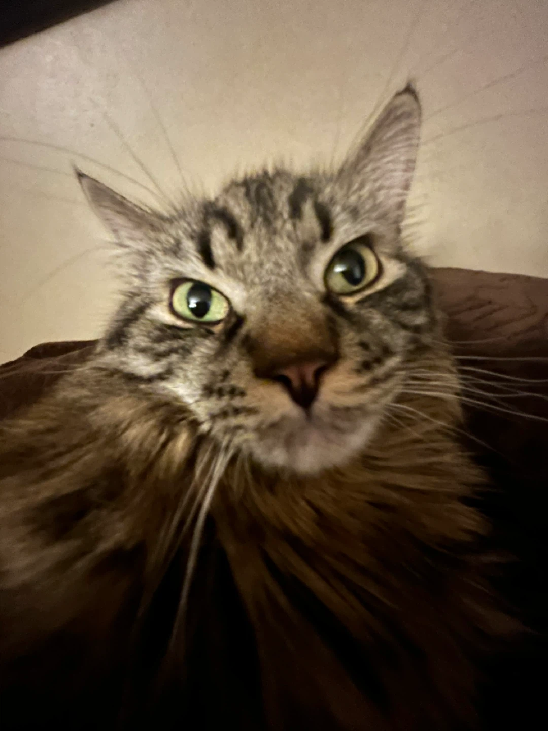 Jesse harris profile