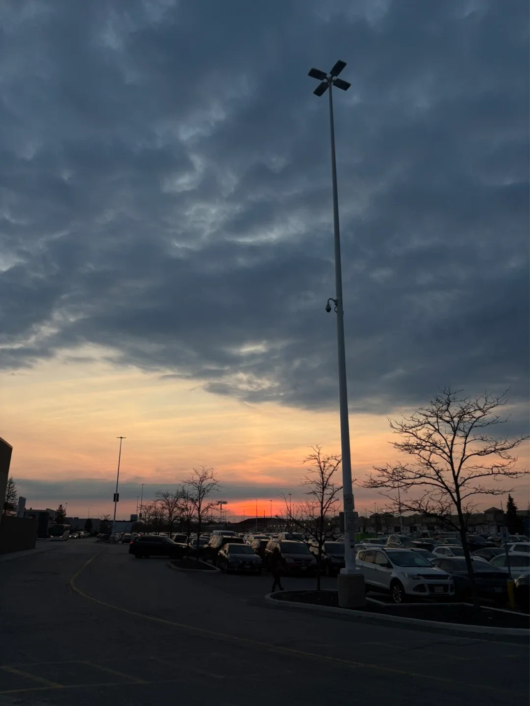 Sabrina Chiarelli profile