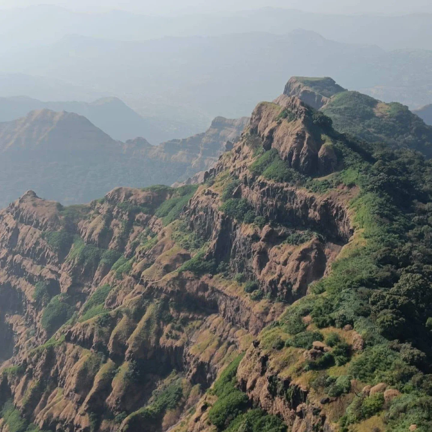 Haaris Shaikh profile