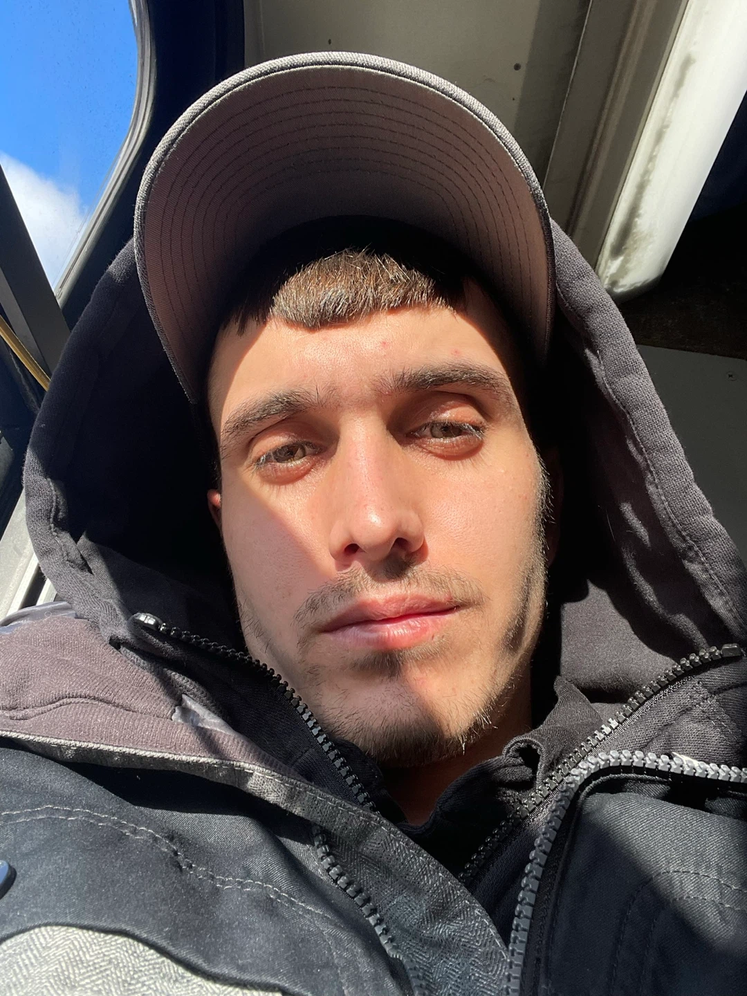 Alexander profile