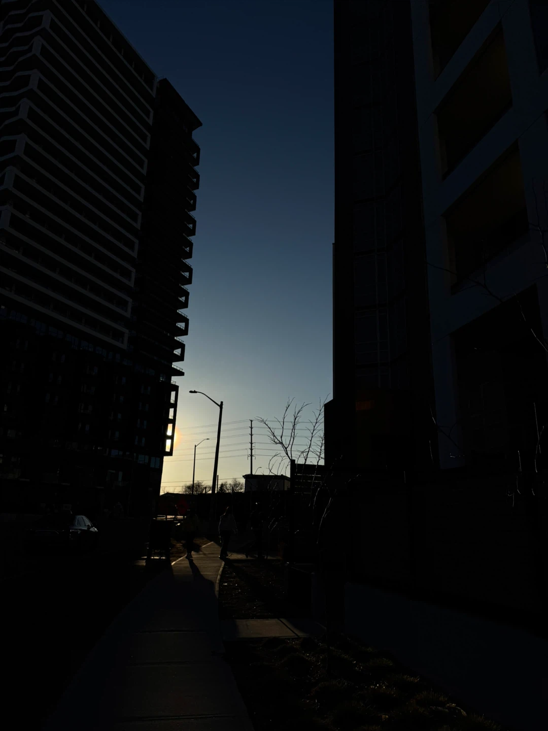 Harleen Kaur profile