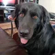 sid profile
