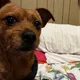 lalo profile