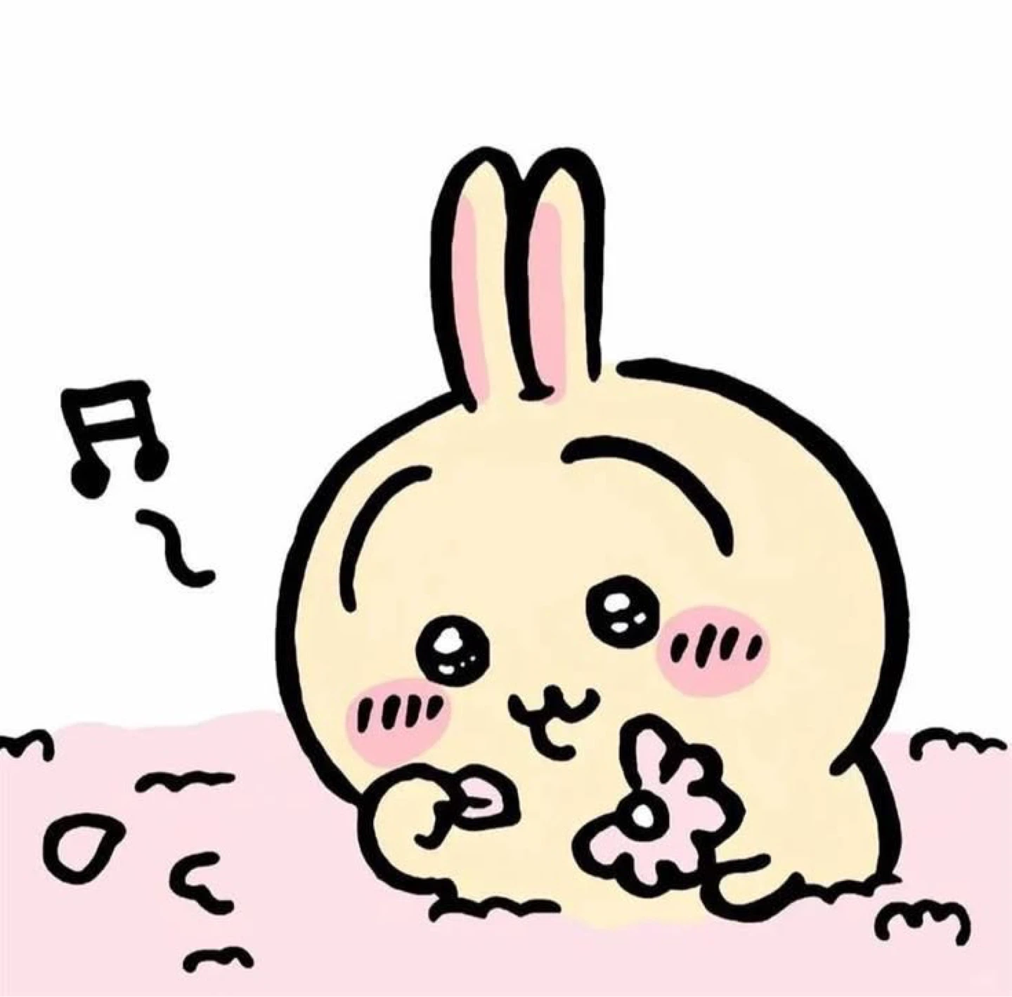 Bunny profile