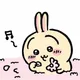 Bunny profile