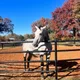 Ramonita profile