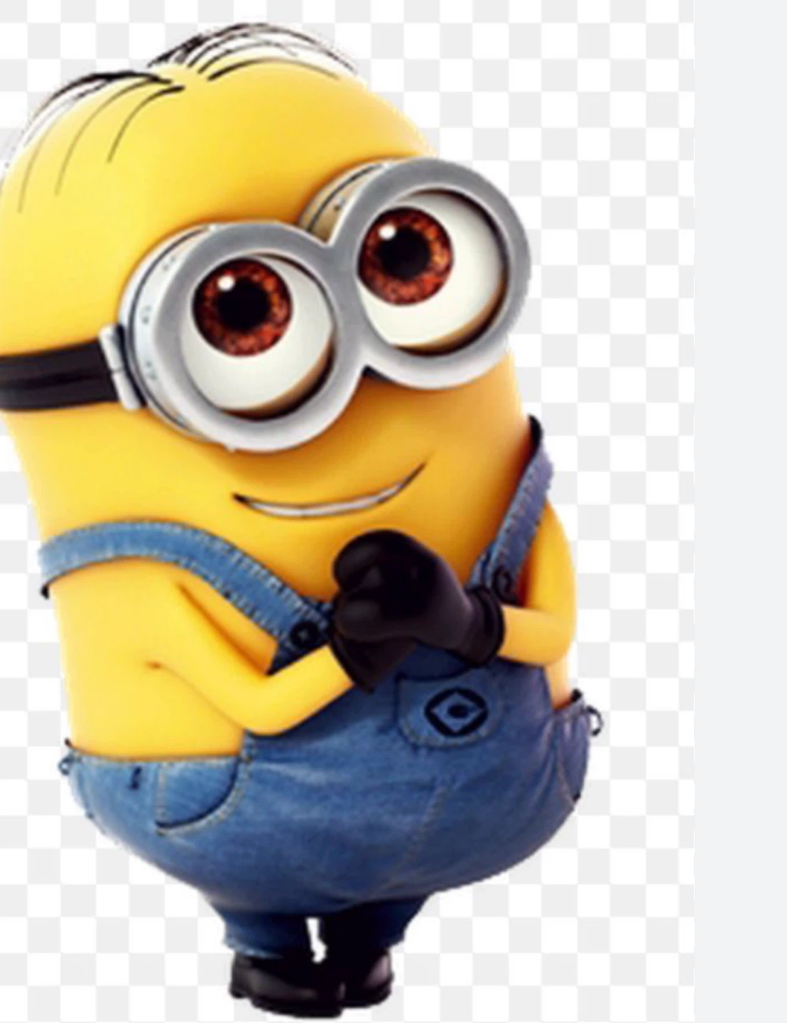 Minion profile
