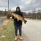 Jacob tavares profile