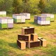 Eco Bee profile