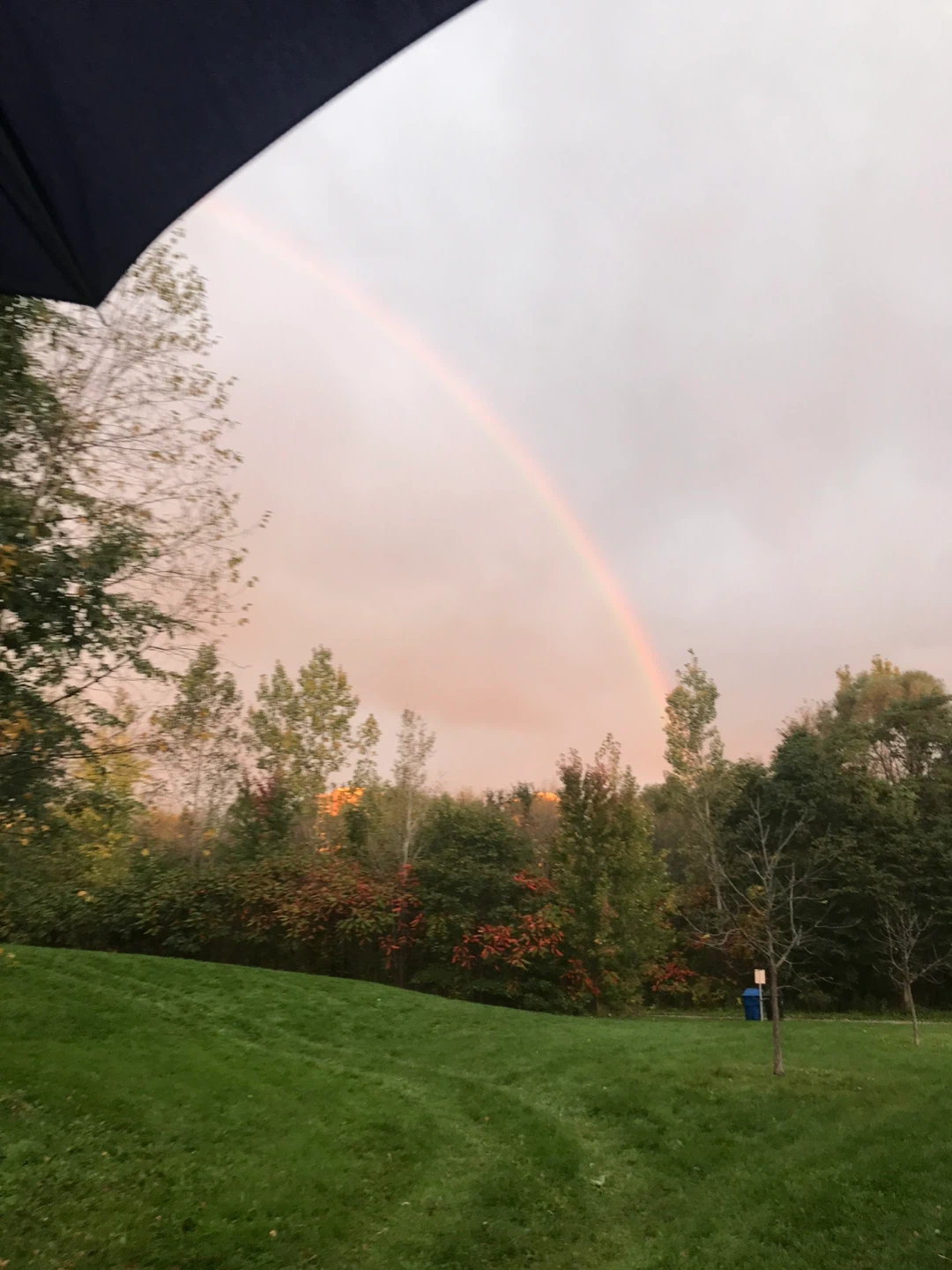 Peter Szczepanowski profile