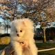 Tassy profile