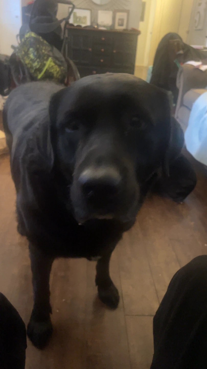 Ross profile