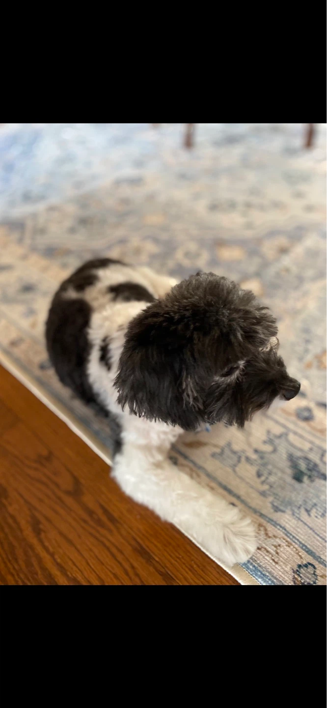 Cubby profile