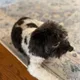 Cubby profile