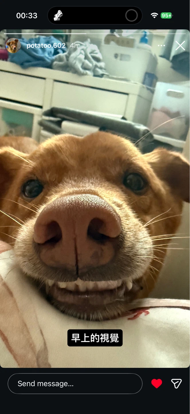 Max profile