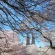 Central park profile