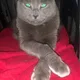 Spatts profile