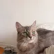 Fatima profile