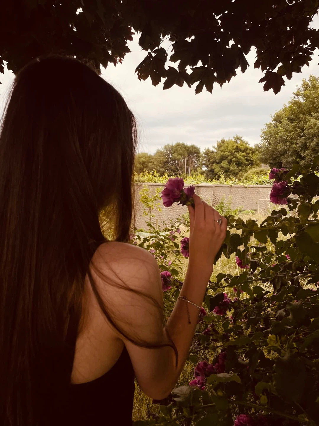 Malak salam profile
