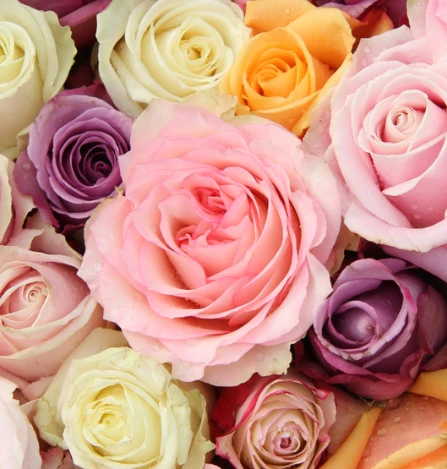 Beauty Boutique profile