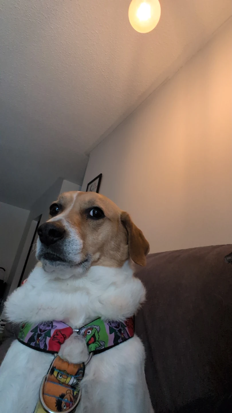 Leonardo Silva profile