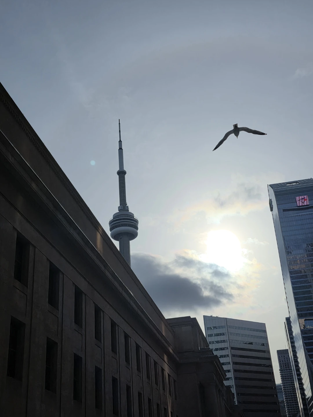 Robson and Larissa profile