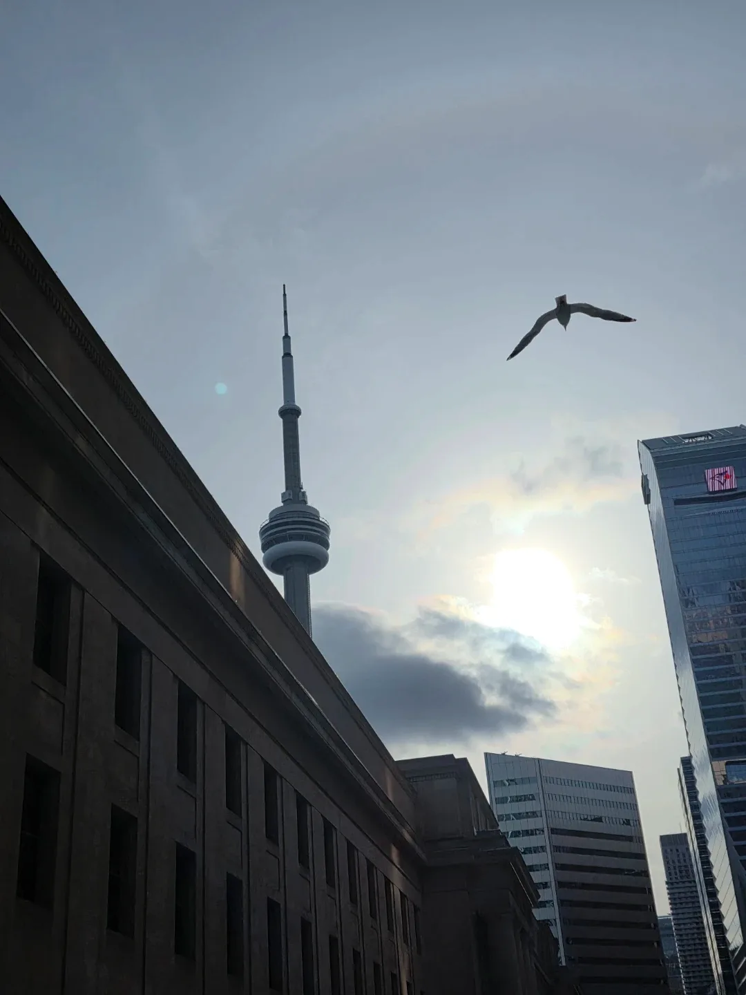 Robson and Larissa profile