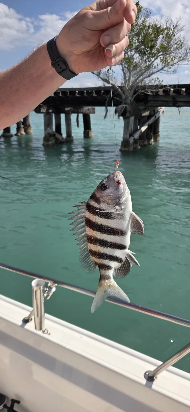 Rod profile