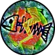 James Sushi profile