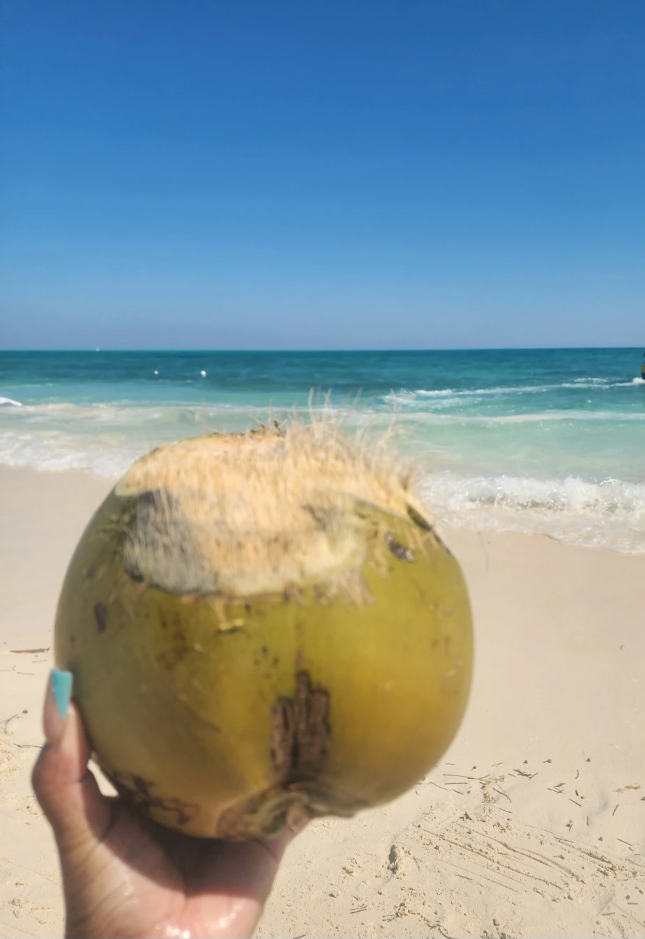 Lana Rooplal profile