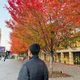 Sumit profile