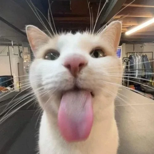 Harvey