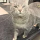 Sabina profile
