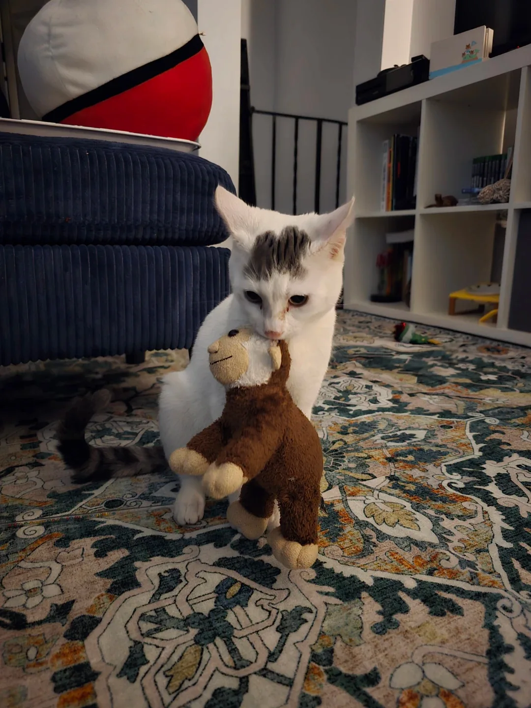 Desmond Billo profile