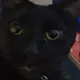 cane profile