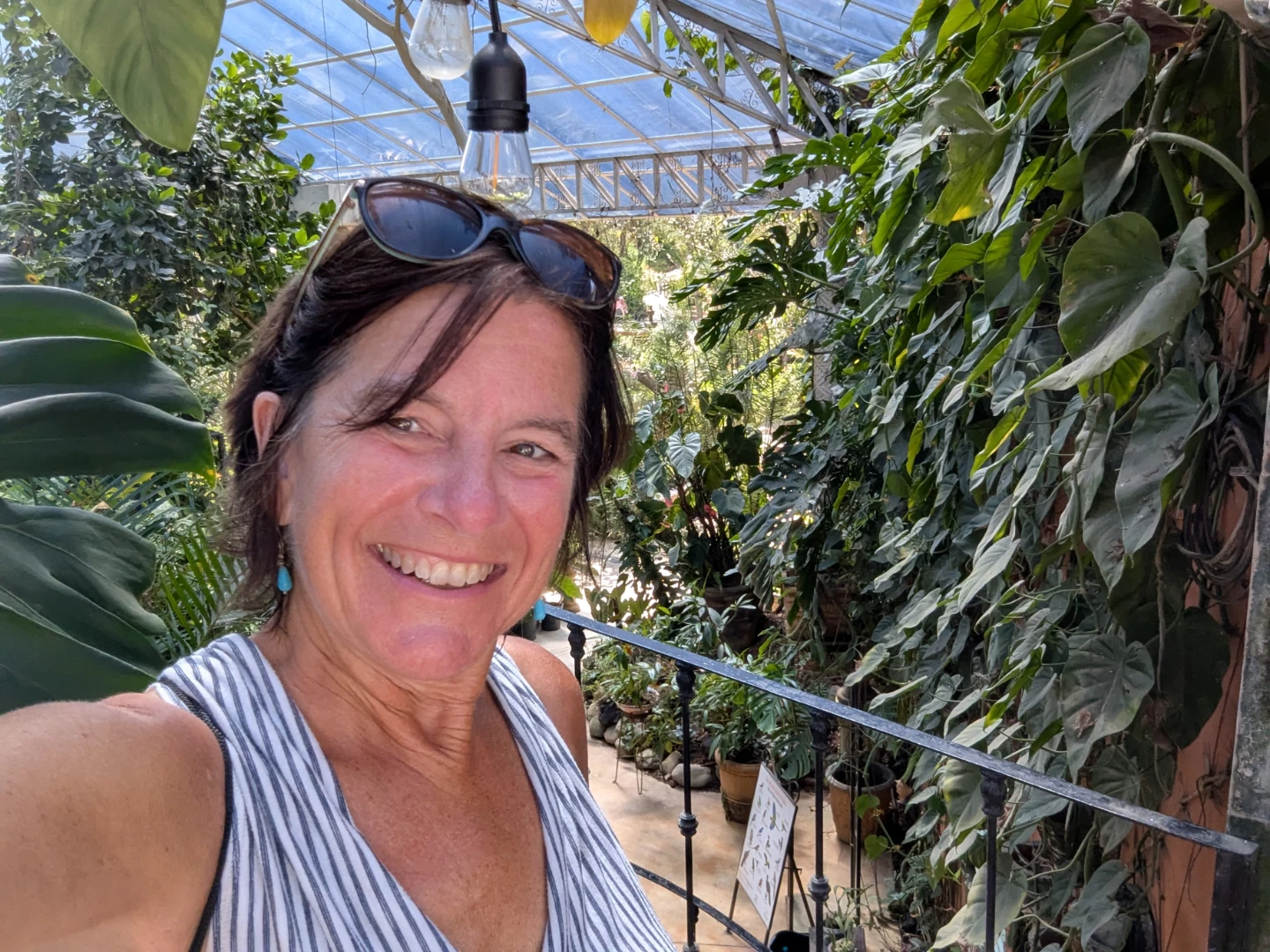 Dawna profile