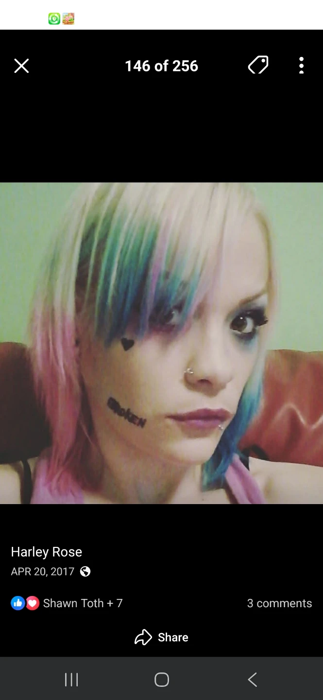 harley profile
