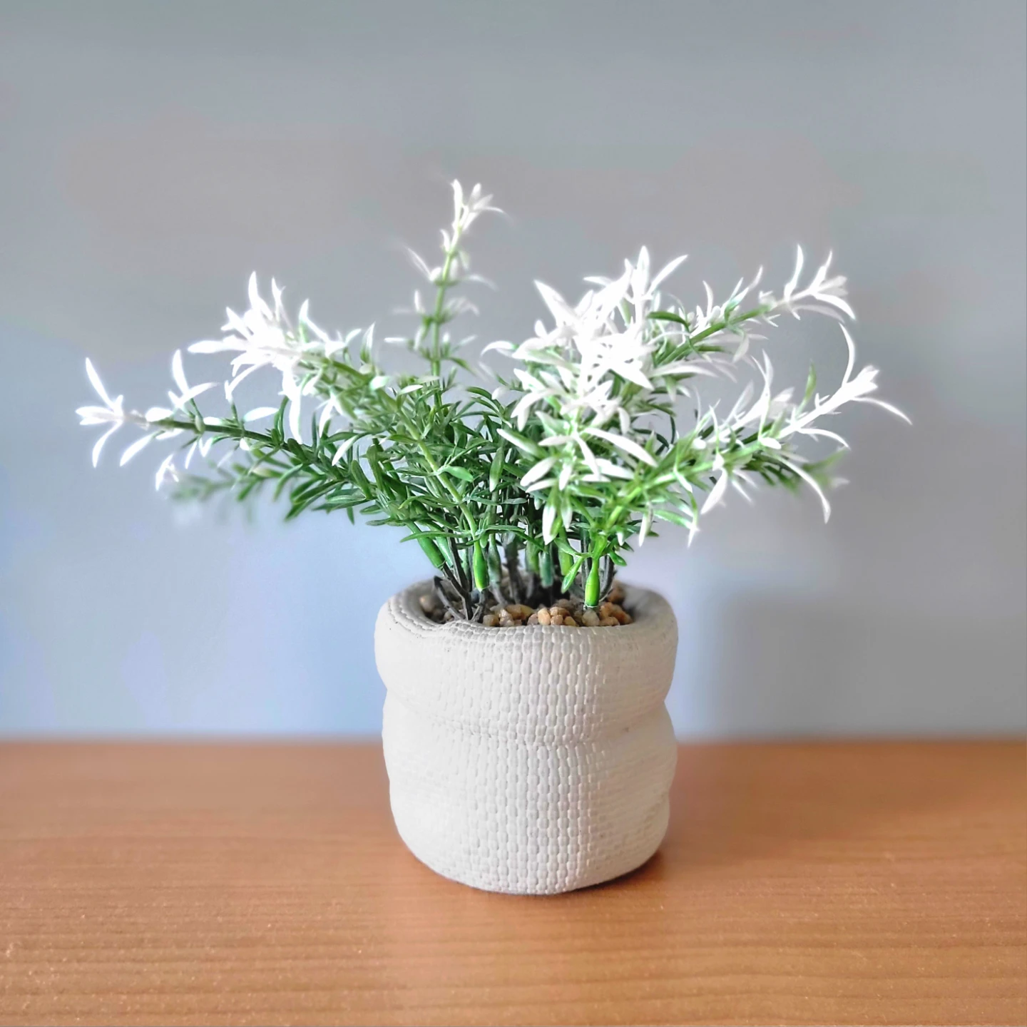 Noah Beaudet profile