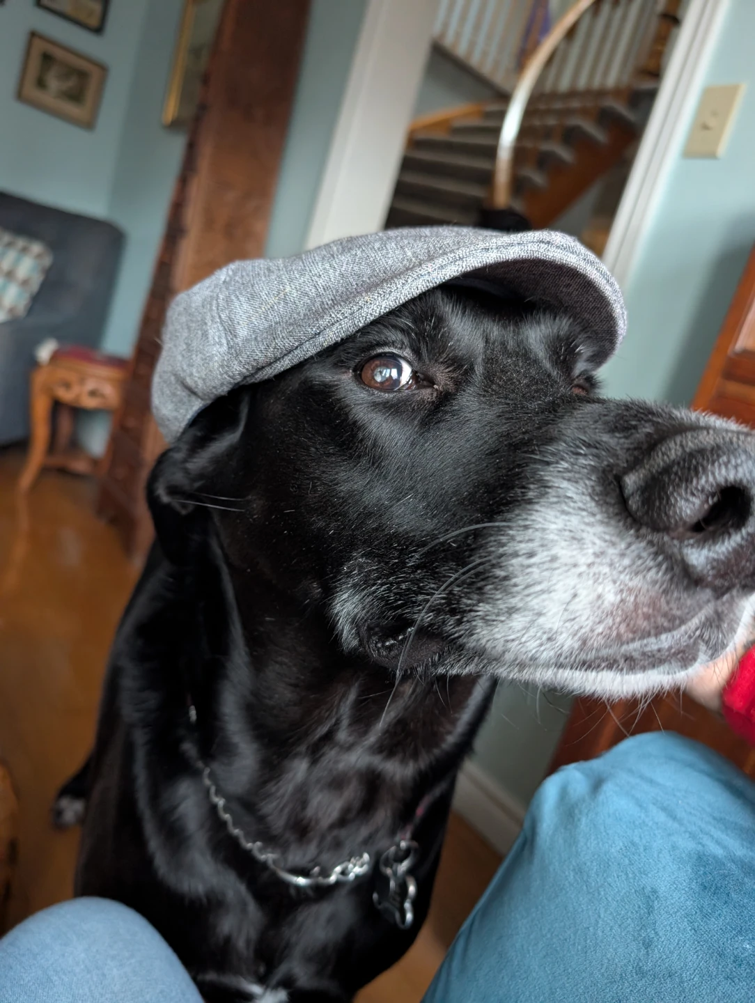 Chuck profile