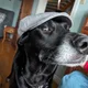 Chuck profile